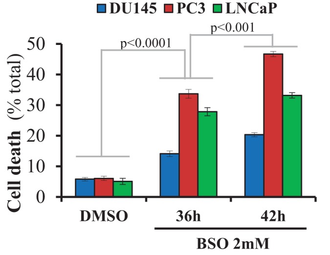 Figure 2—figure supplement 3.