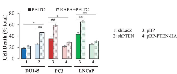 Figure 2—figure supplement 9.