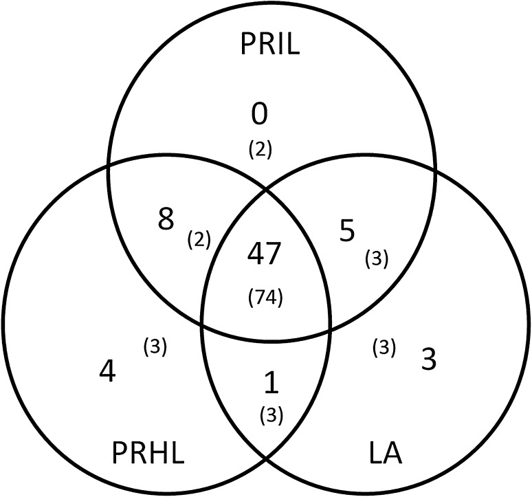 Fig. 5