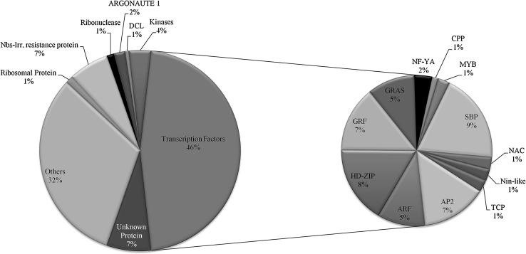 Fig. 7