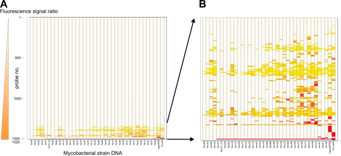 FIG. 2.