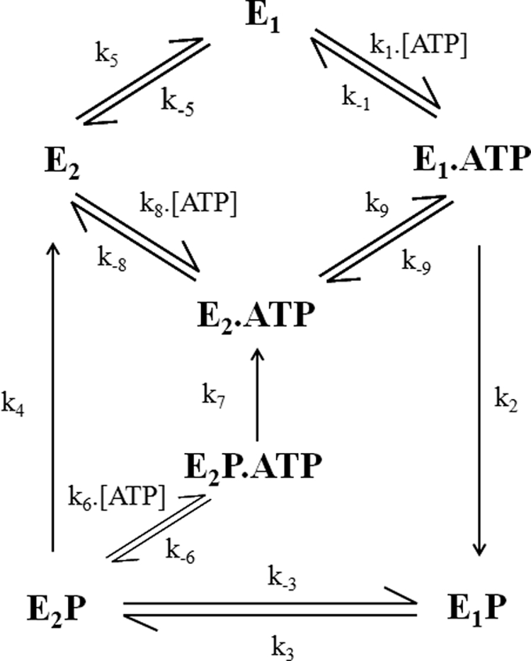 FIGURE 1.