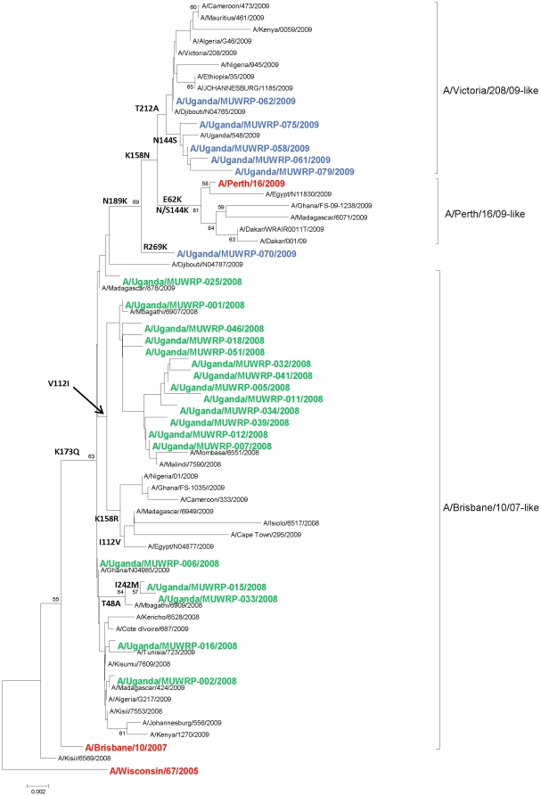 Figure 2