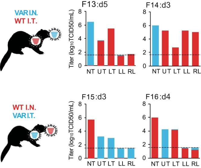 FIG 4