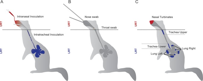 FIG 3