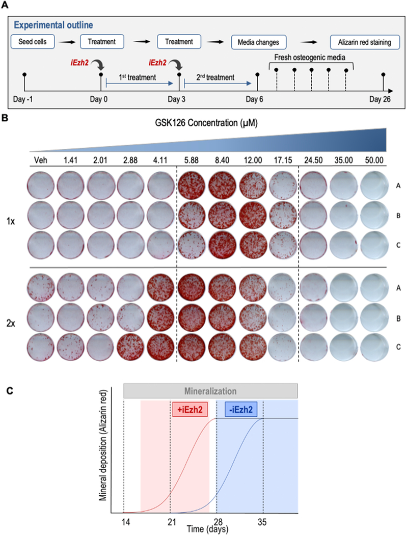 Figure 2: