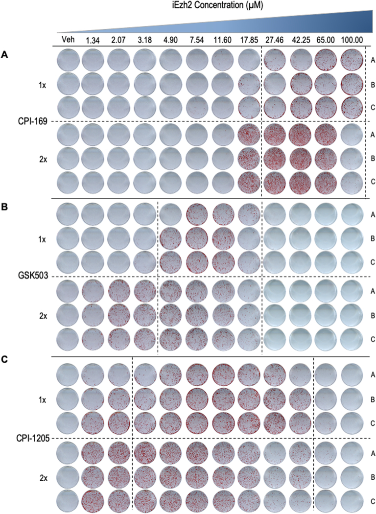 Figure 3: