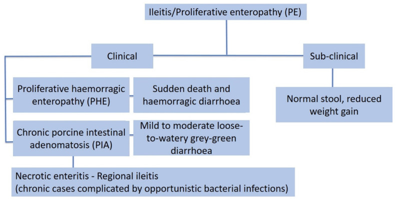 Figure 20