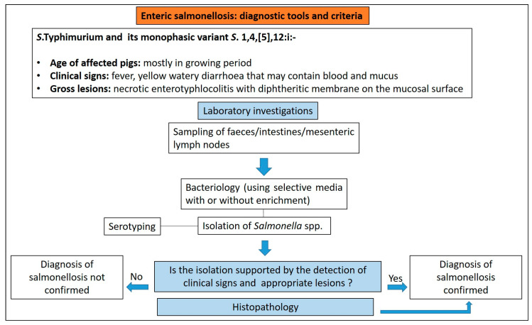 Figure 19