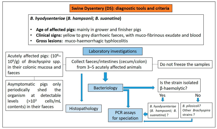 Figure 28