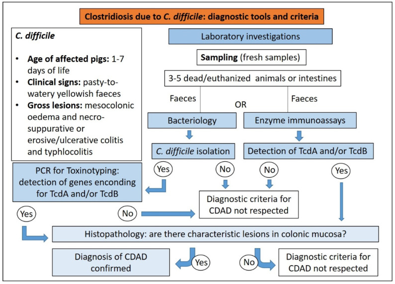 Figure 14