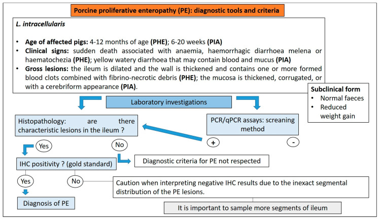 Figure 25