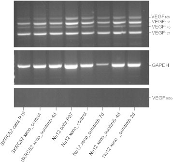 Figure 5