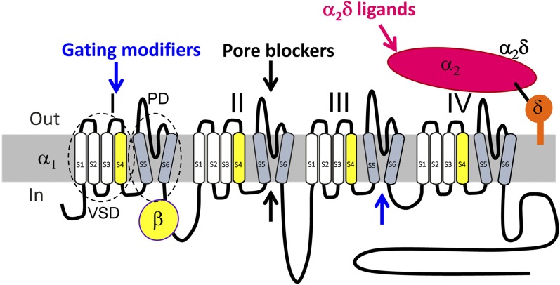 Fig. 1.