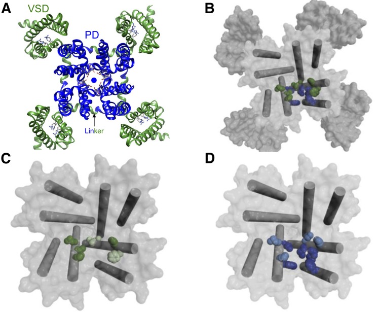 Fig. 4.