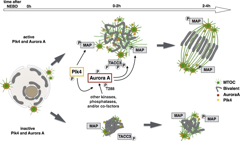 Figure 10.