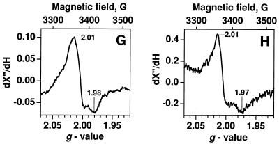 FIG. 6