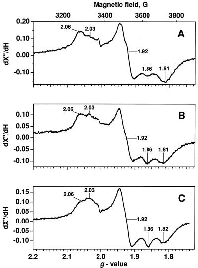 FIG. 6