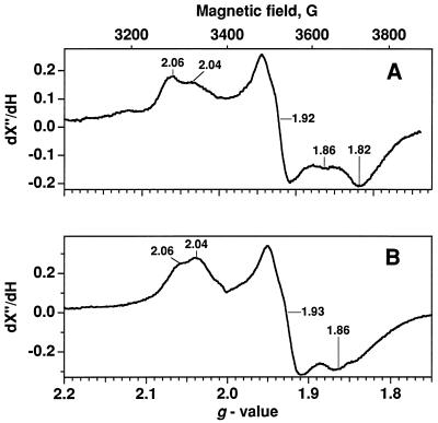 FIG. 7