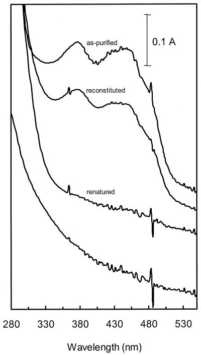 FIG. 5