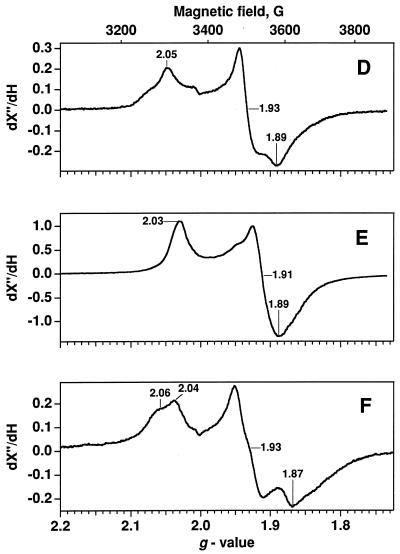 FIG. 6