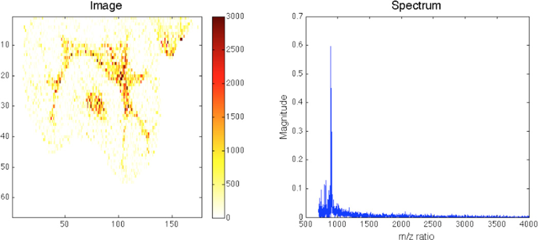 Fig. 10