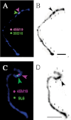 Fig. 3.