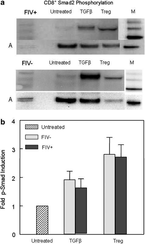 FIG. 8.