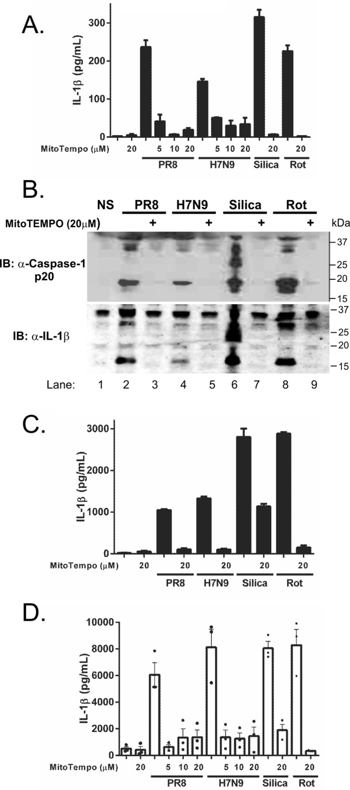 FIGURE 4.