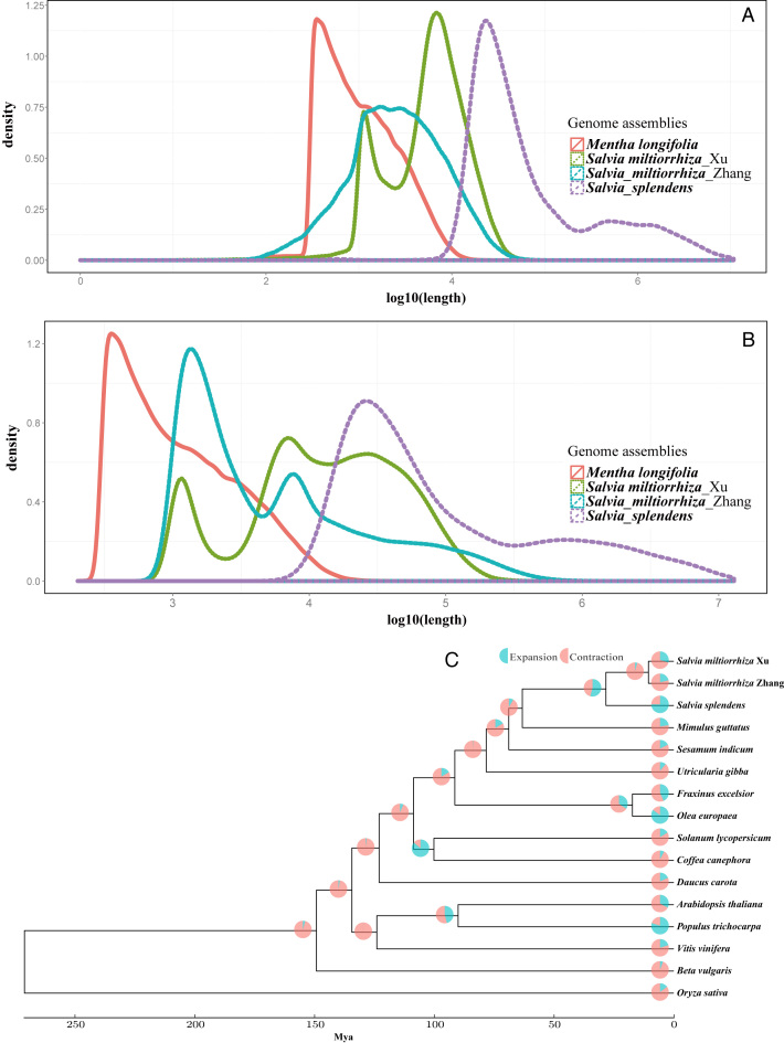 Figure 2: