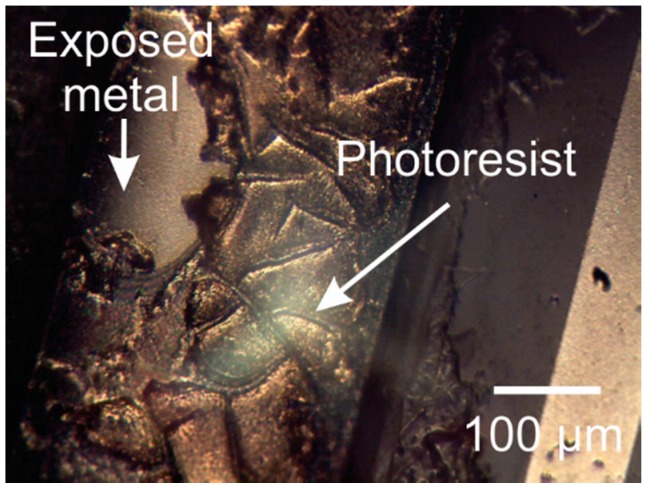 Figure 18