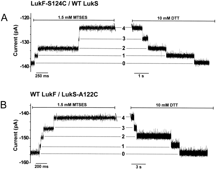 Fig. 3.