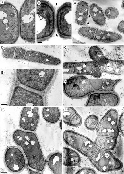 Figure 10.