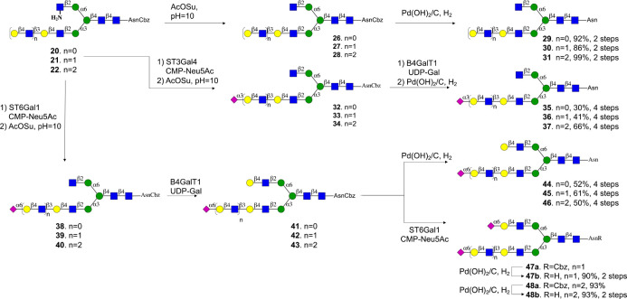 Scheme 3