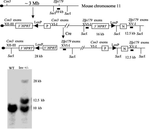 FIG. 3.