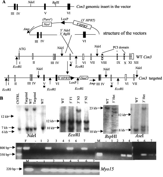 FIG. 1.