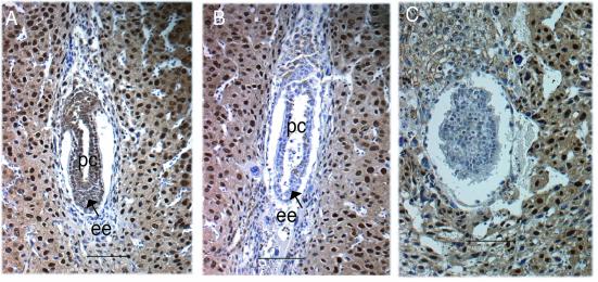 FIG. 9.