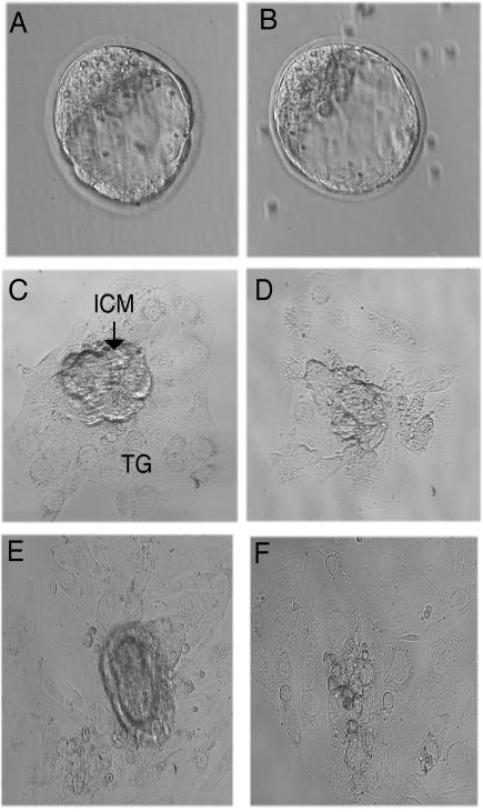 FIG. 8.