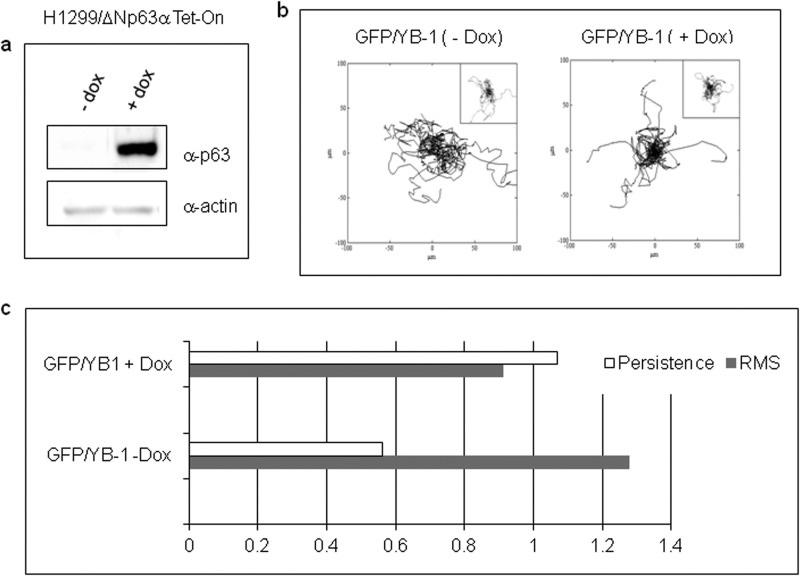 FIGURE 11.