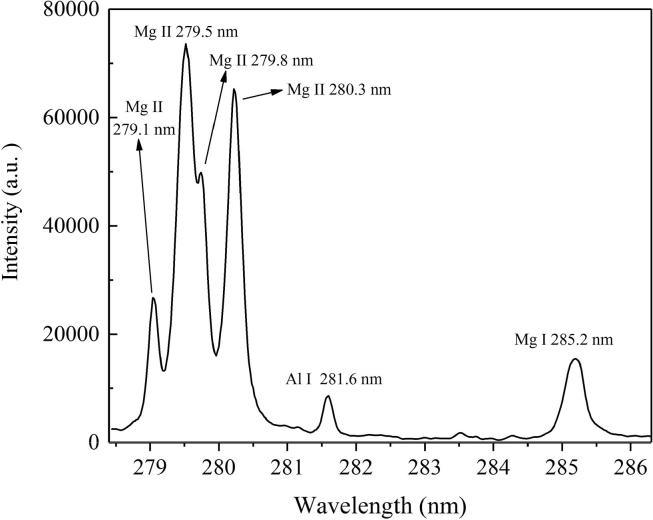 Fig. 2