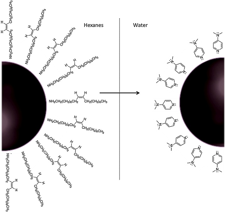 Fig. 10