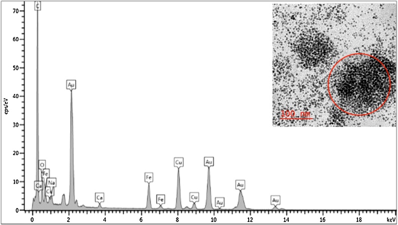 Fig. 2