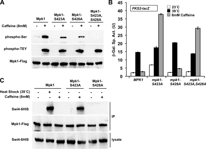 FIG. 8.