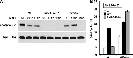 FIG. 9.