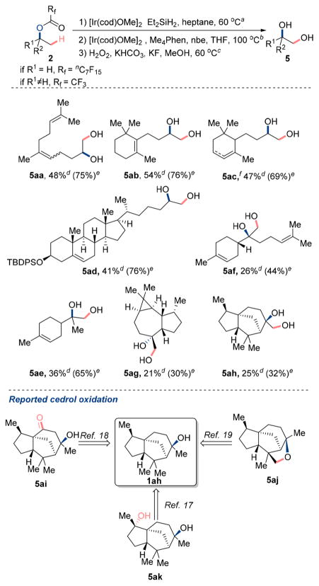 Scheme 5