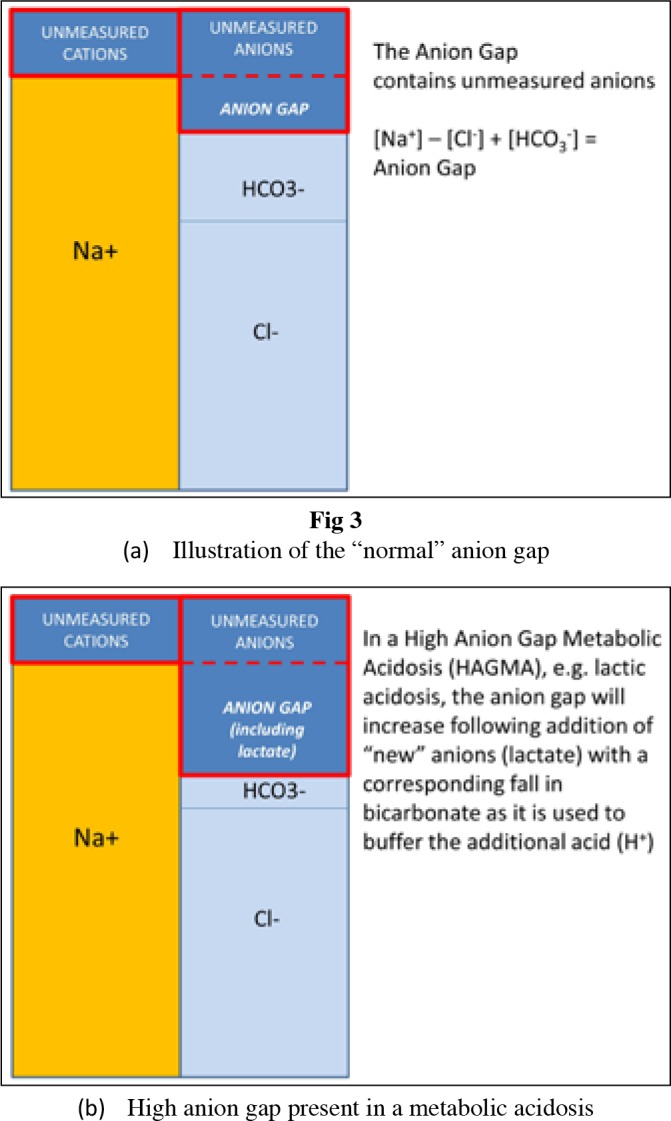 Fig 3.