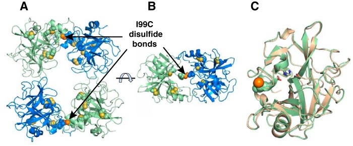 Figure 5.