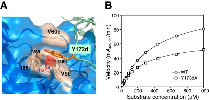 Figure 11.