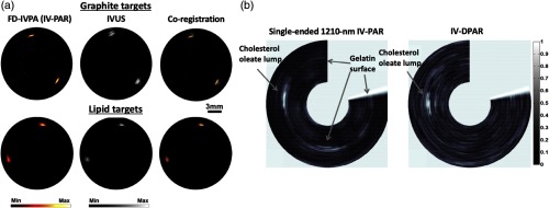 Fig. 9