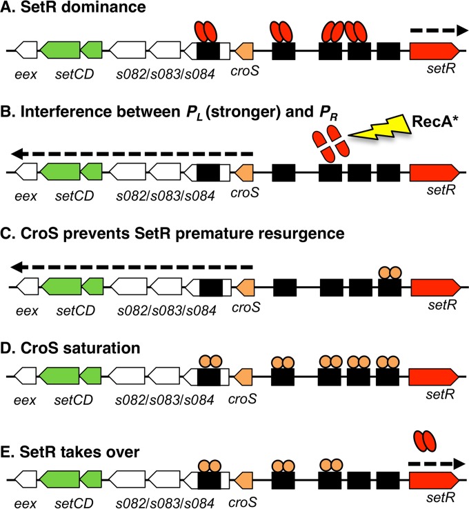 FIG 6